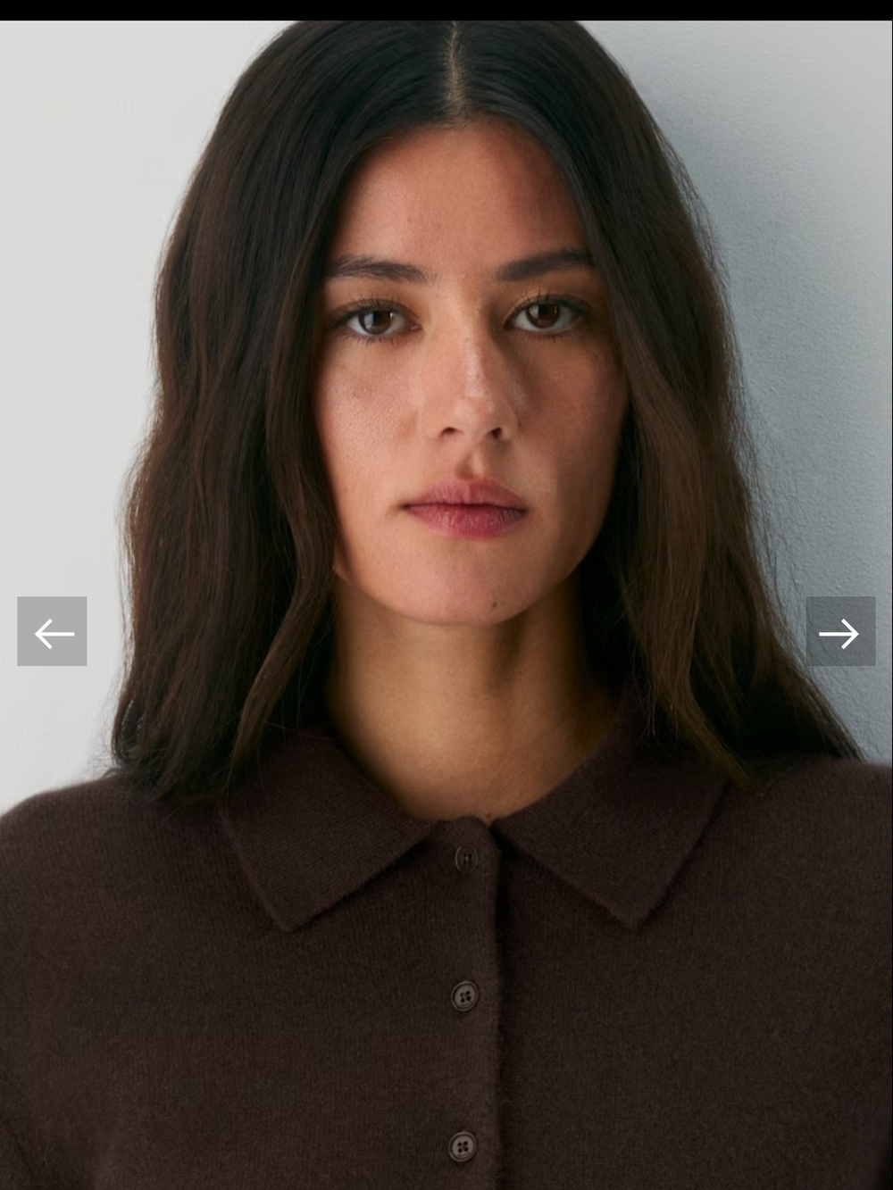 Aritzia
Bare Cashmere Cellini Sweater Classic Brown Polo-Collar Women's Sweater - Picture 4 of 5